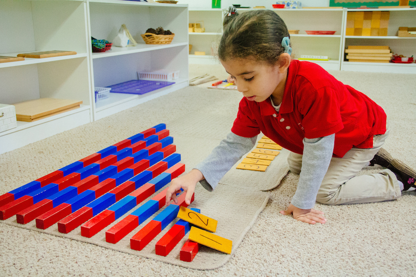 Montessori Tampa Curriculum