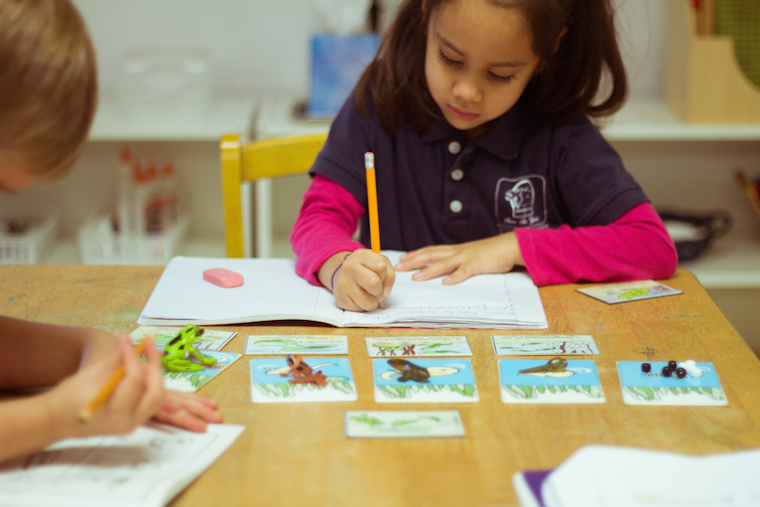 Montessori Tampa Science